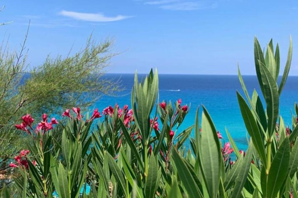 Boutique Apartment With Beach Within Walking Distance, Near Tropea Parghelia Exterior photo